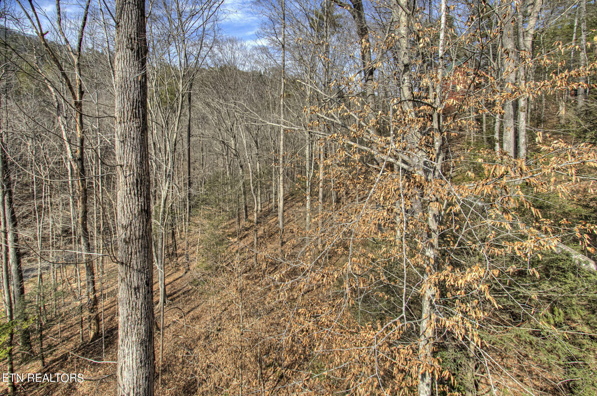 536 Laurel Road Townsend, TN 37882 - Photo 29 of 60 Rear View from Deck