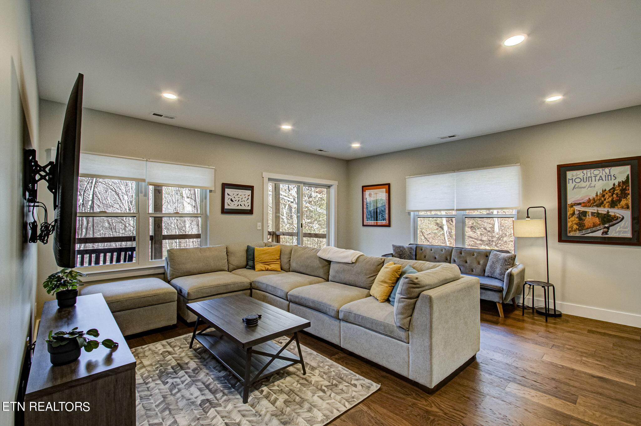 536 Laurel Road Townsend, TN 37882 - Photo 31 of 60 Lower Level Living Room