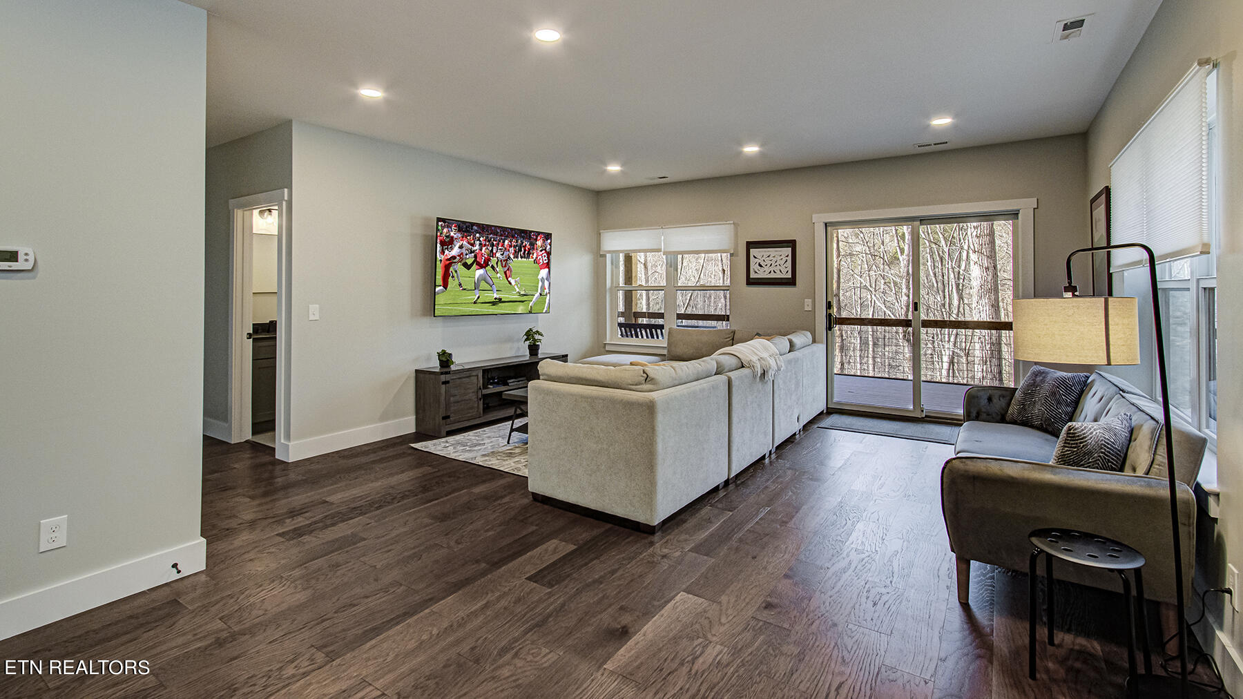 536 Laurel Road Townsend, TN 37882 - Photo 32 of 60 Lower Level Living Room