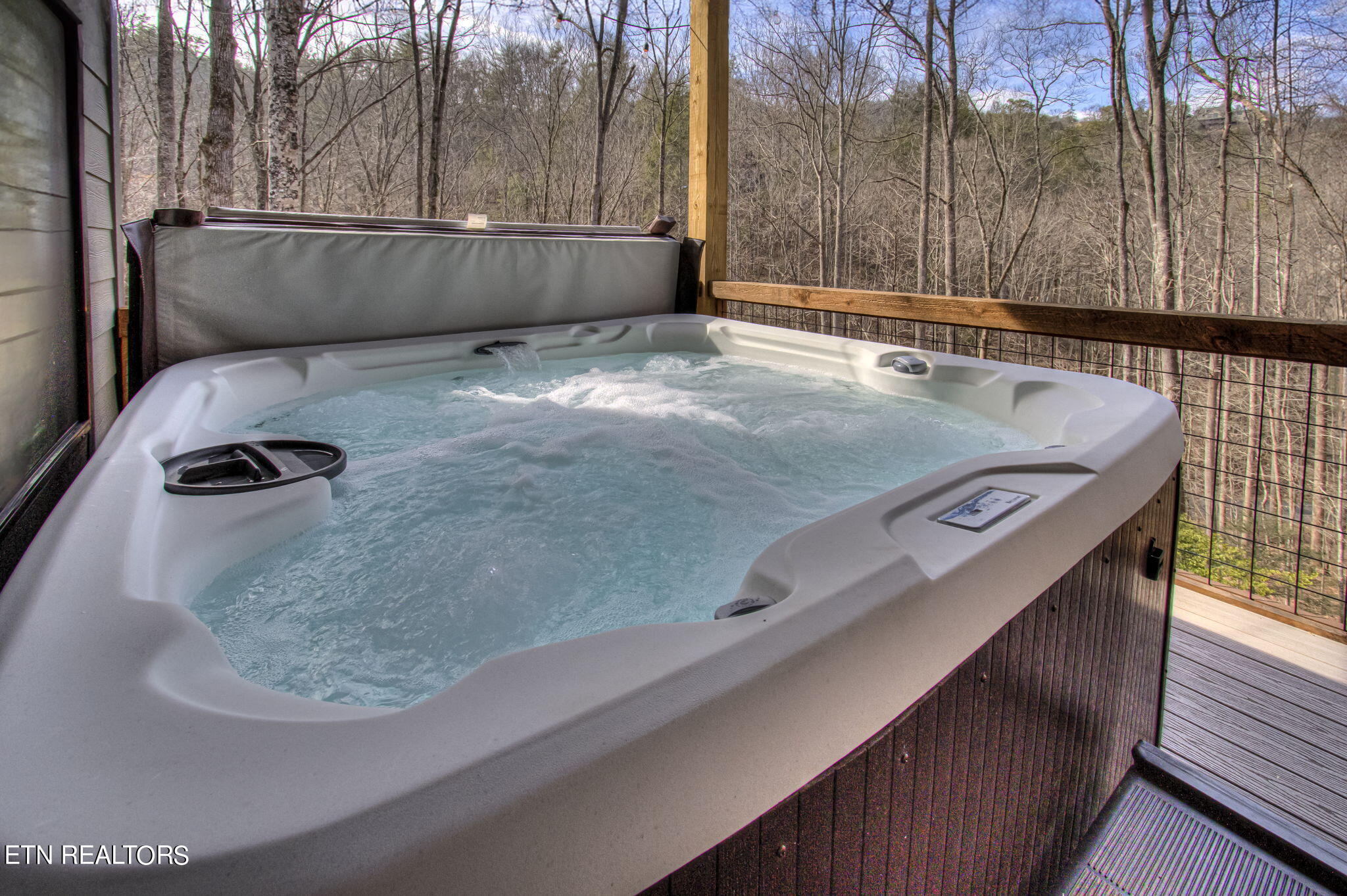 536 Laurel Road Townsend, TN 37882 - Photo 39 of 60 Hot Tub - Lower Deck