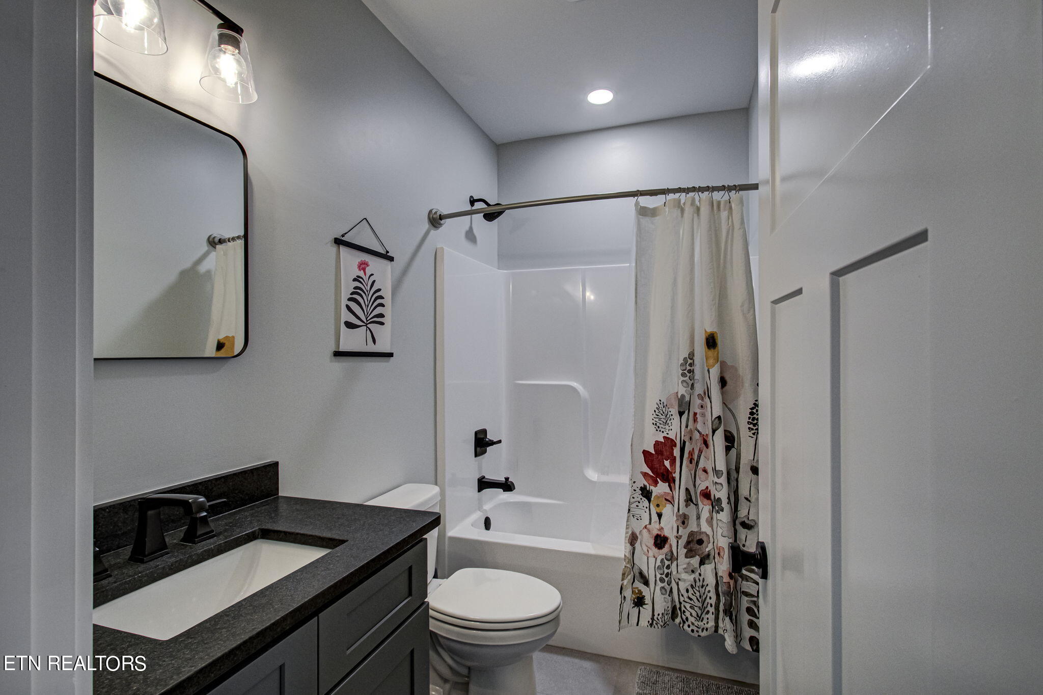 536 Laurel Road Townsend, TN 37882 - Photo 41 of 60 Lower Level Full Bath