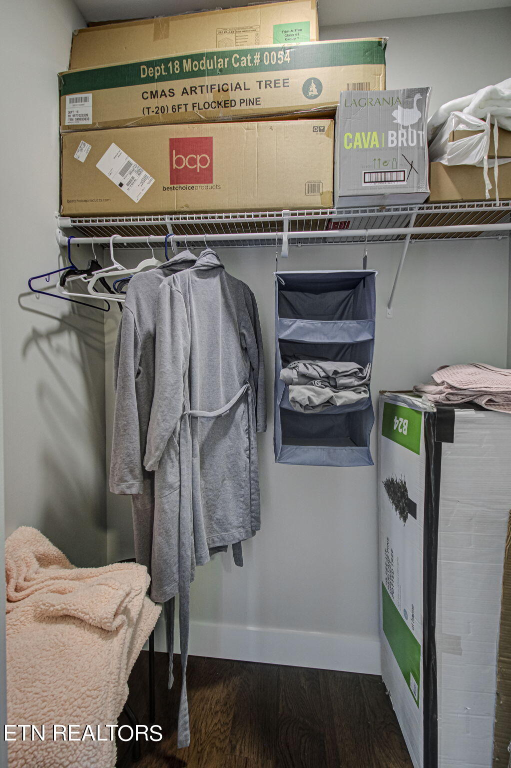 536 Laurel Road Townsend, TN 37882 - Photo 47 of 60 1 of 2 Lower Level BR Closets