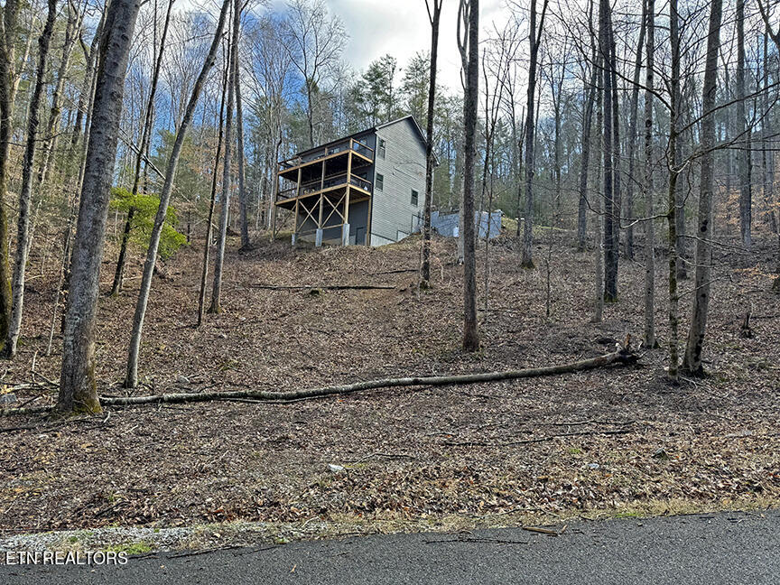 536 Laurel Road Townsend, TN 37882 - Photo 57 of 60 Exterior from lower back