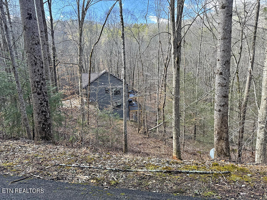 536 Laurel Road Townsend, TN 37882 - Photo 58 of 60 Exterior from high side