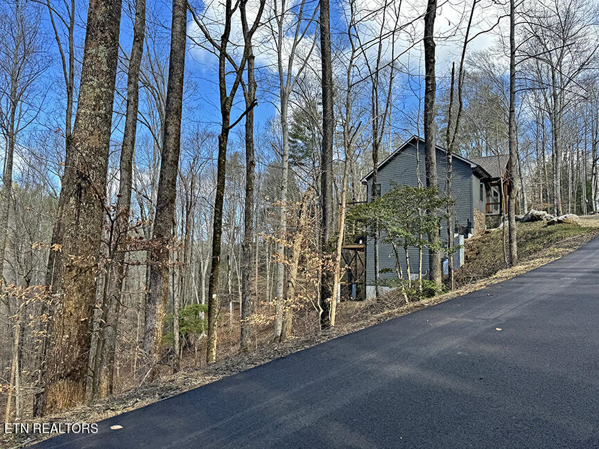 536 Laurel Road Townsend, TN 37882 - Photo 59 of 60 Exterior from mid-low si