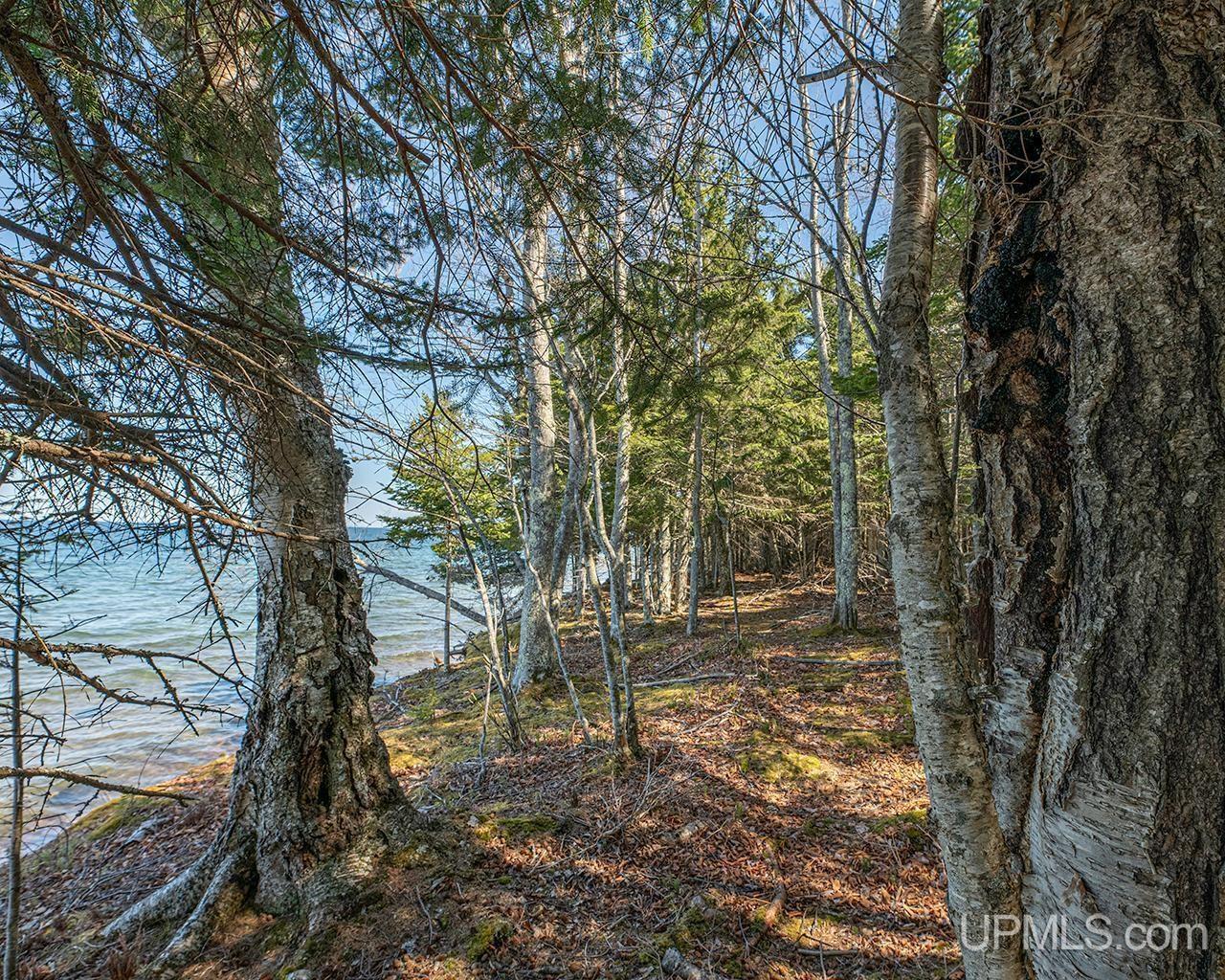 2 Eagles Nest Road Marquette, MI 49855 - Photo 7 of 37