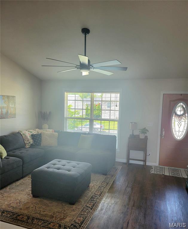 346 Cartpath Lane St. Clair, MO 63077 - Photo 4 of 33