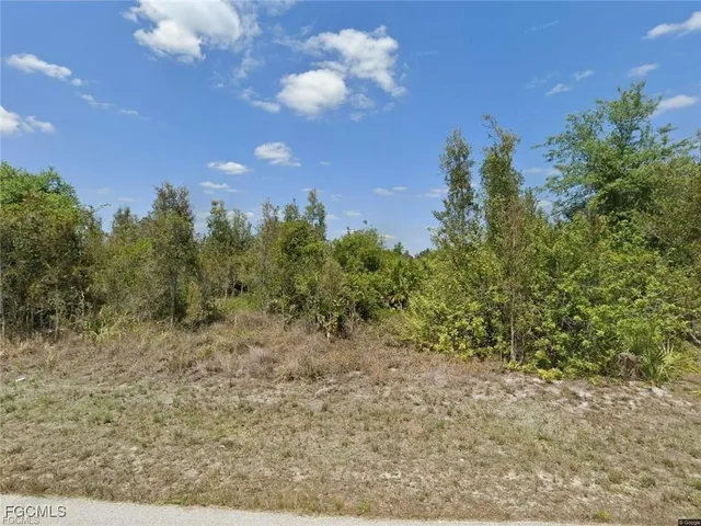 $29,000 | 3617 8th Street Southwest, Lehigh Acres, FL 33976