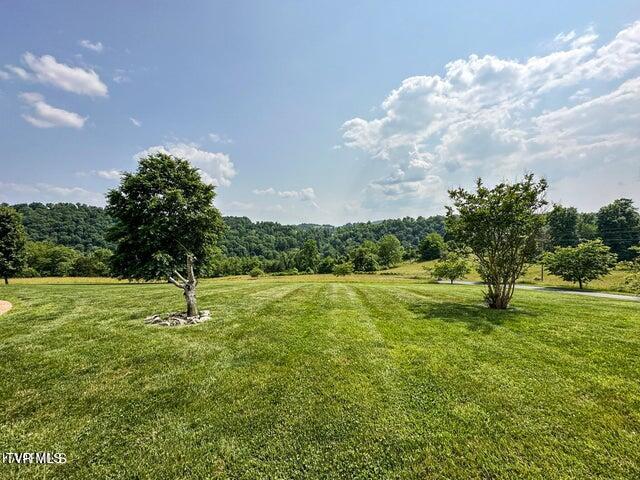 1292 Pump Springs Road Harrogate, TN 37752 - Photo 14 of 47 pump spring yard 2 - Copy