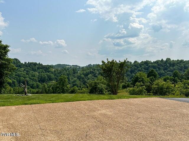 1292 Pump Springs Road Harrogate, TN 37752 - Photo 16 of 47 pump spring patio 1
