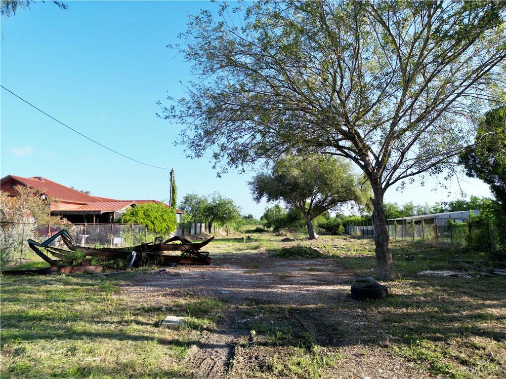 a view of a park with large trees