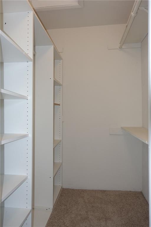 4088 North Pine Island Road, Unit 409 Sunrise, FL 33351 - Photo 11 of 18 a view of closet