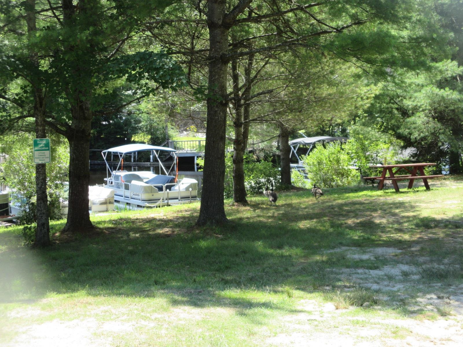 14 Tigola Trail Stoddard, NH 03464 - Photo 16 of 16