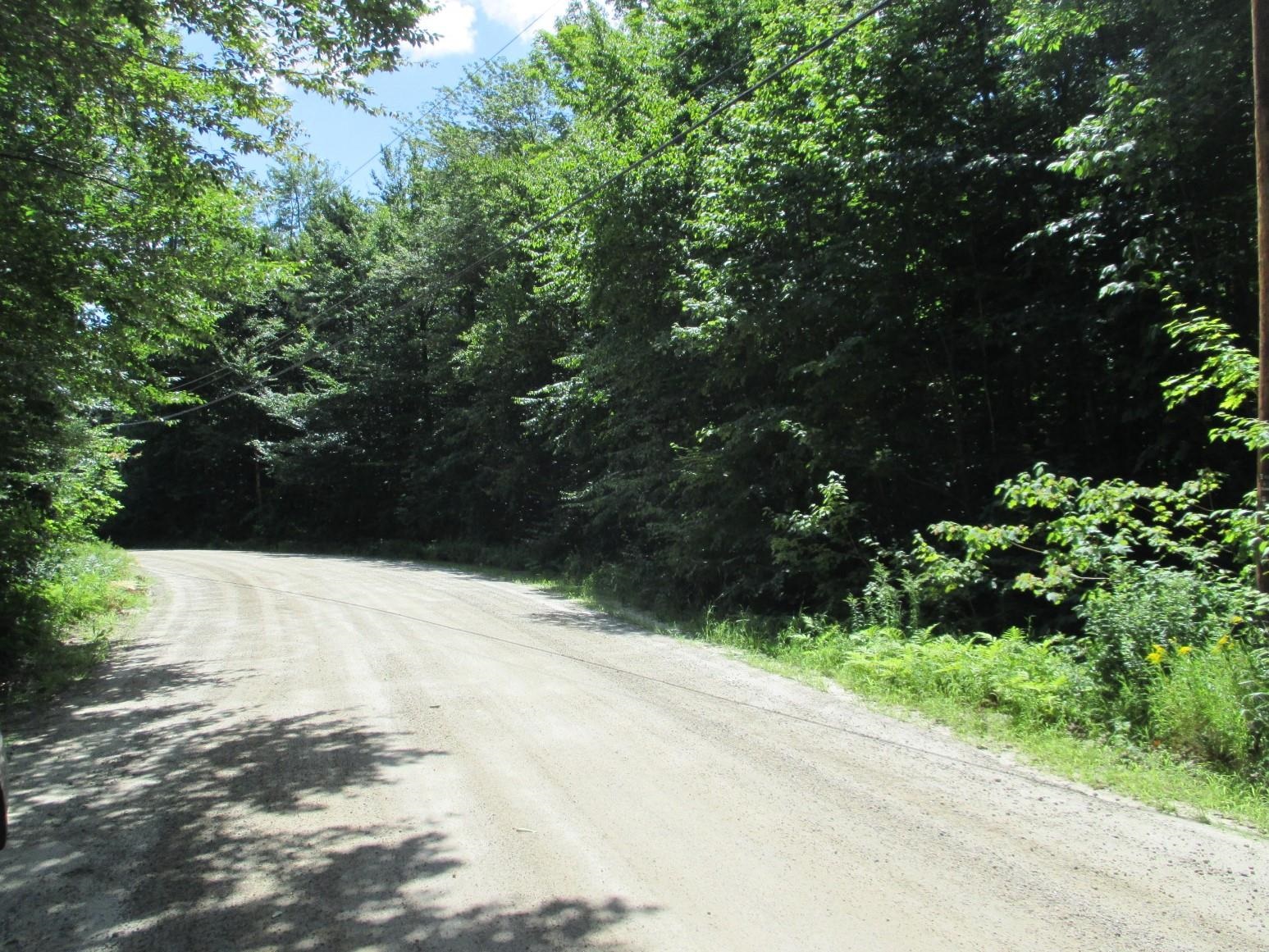 14 Tigola Trail Stoddard, NH 03464 - Photo 3 of 16