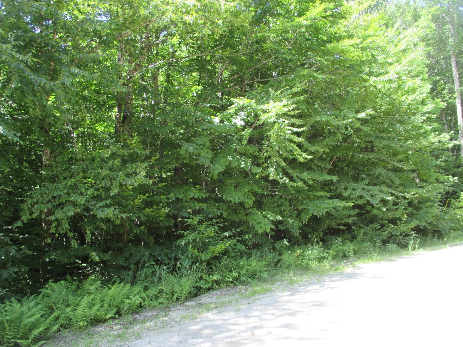 14 Tigola Trail Stoddard, NH 03464 - Photo 5 of 16