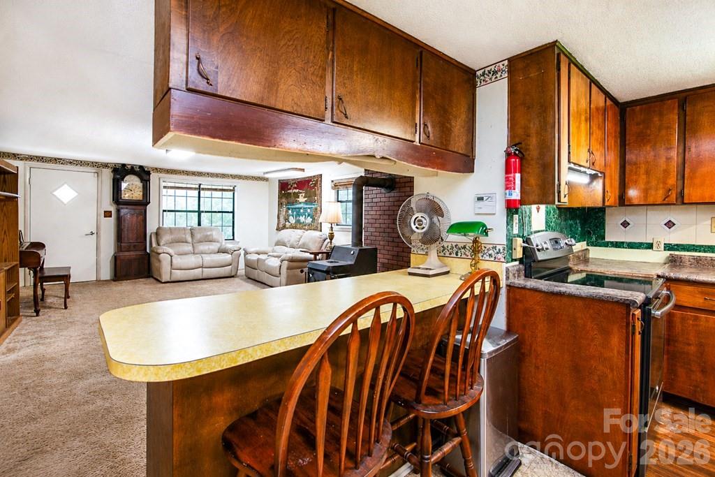 901 Rufus Robinson Road Sylva, NC 28779 - Photo 14 of 39 Gallery Image 14