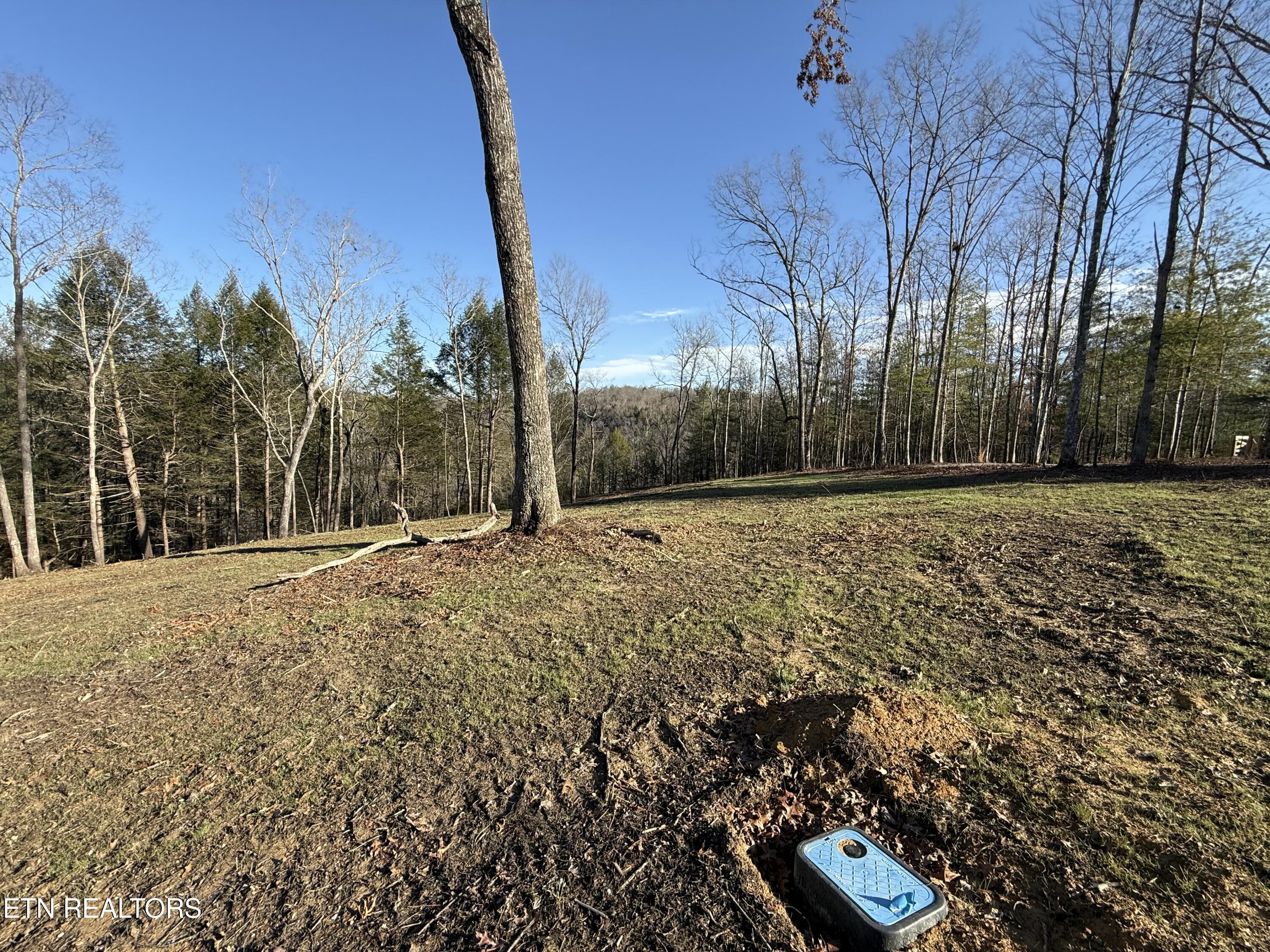 20 Bluff View Allardt, TN 38504 - Photo 3 of 7 IMG_2801