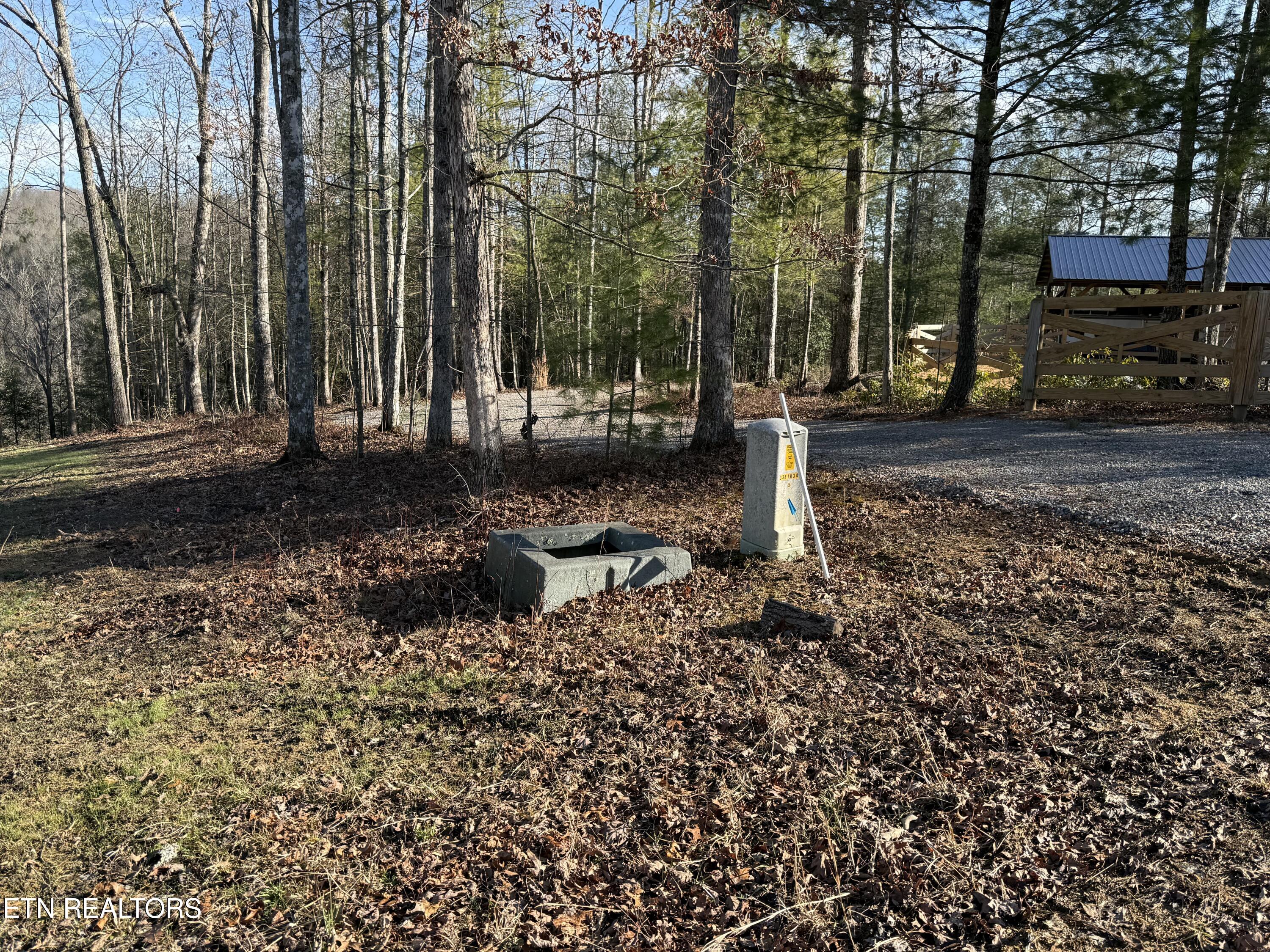 20 Bluff View Allardt, TN 38504 - Photo 4 of 7 IMG_2802