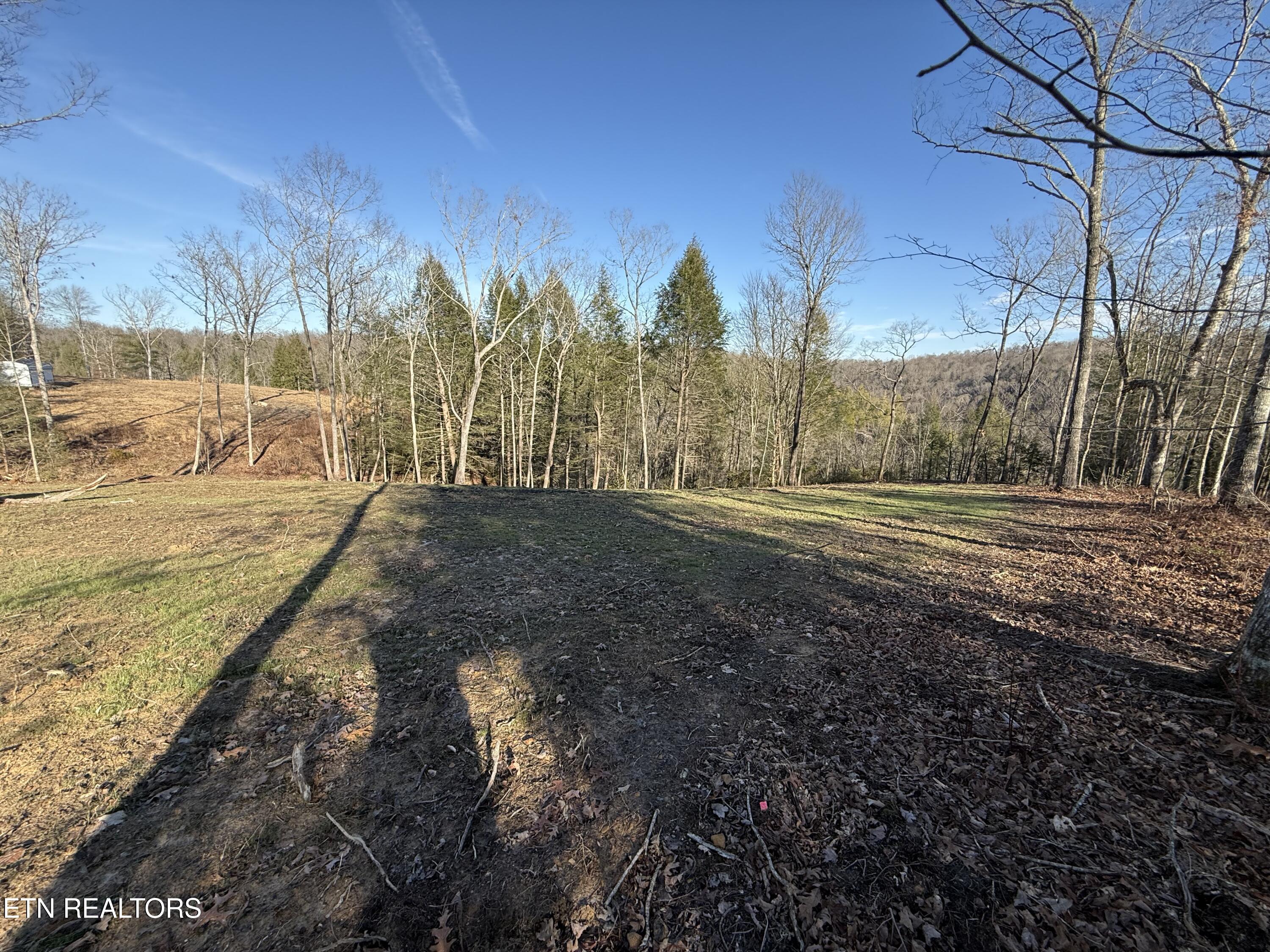 20 Bluff View Allardt, TN 38504 - Photo 5 of 7 IMG_2806