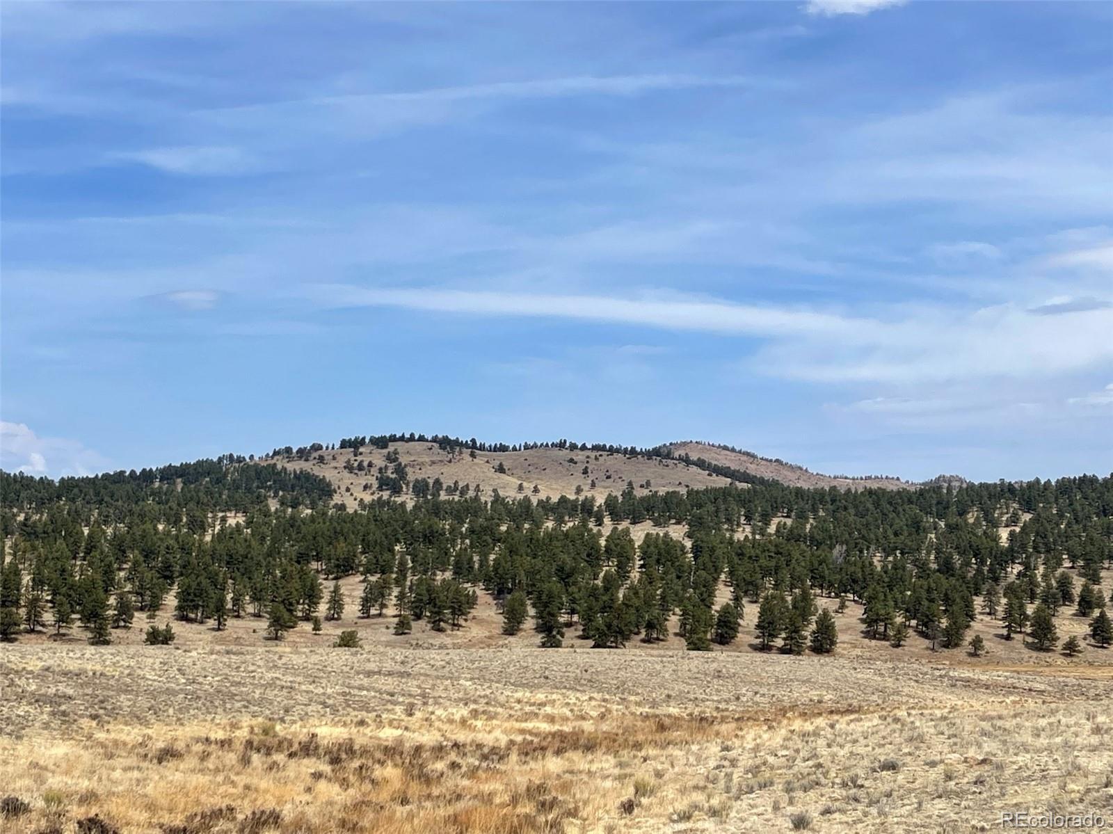 1485 Eagle Valley Road Westcliffe, CO 81252 - Photo 11 of 29