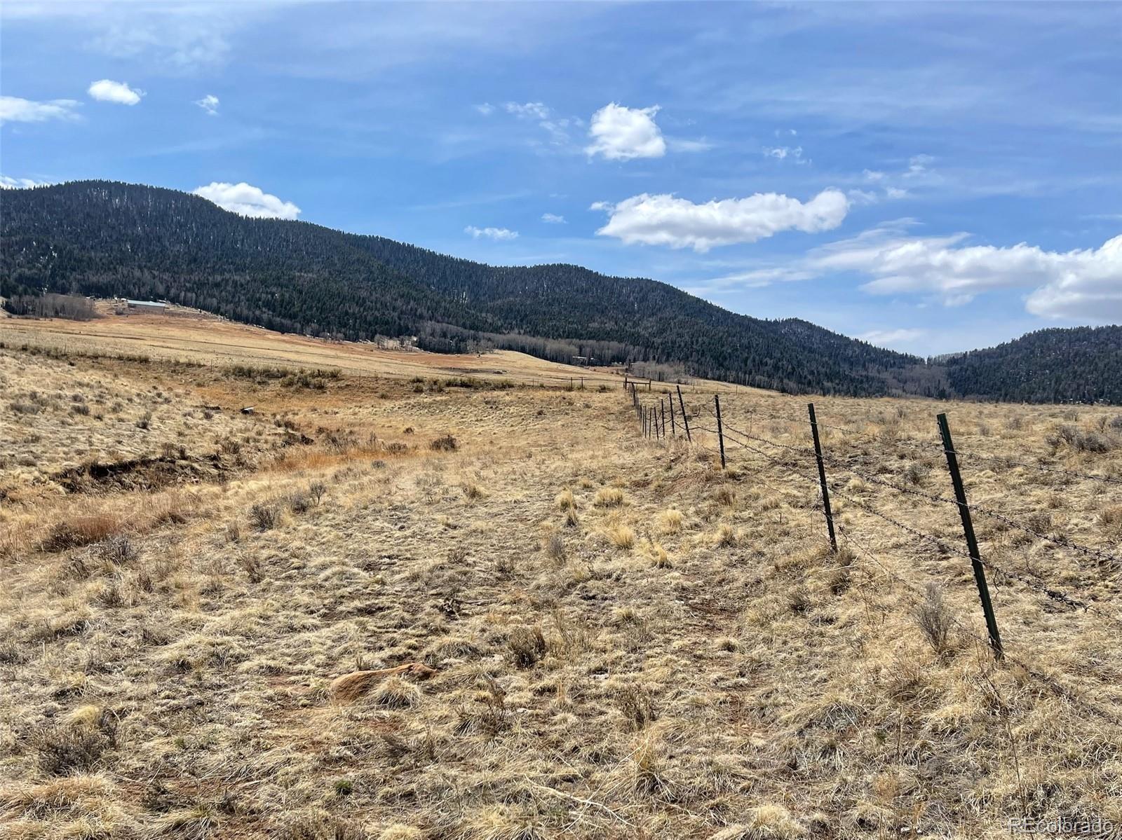 1485 Eagle Valley Road Westcliffe, CO 81252 - Photo 22 of 29