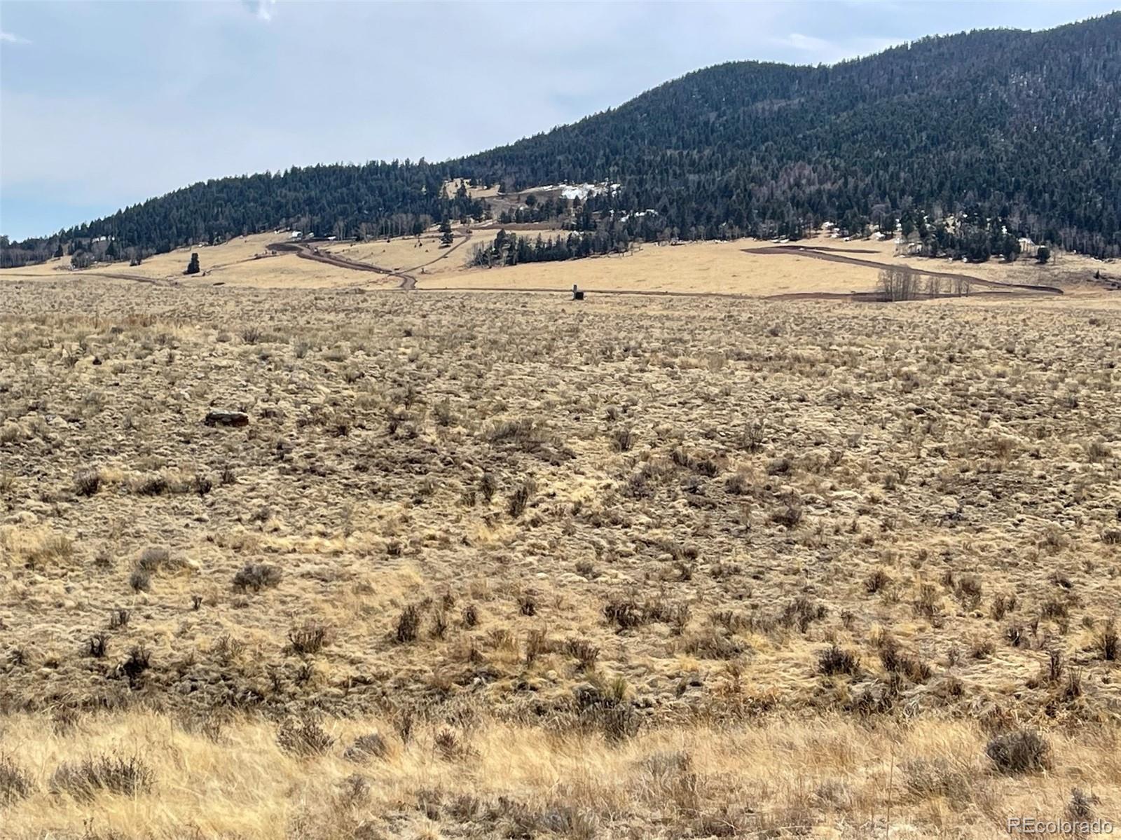 1485 Eagle Valley Road Westcliffe, CO 81252 - Photo 23 of 29