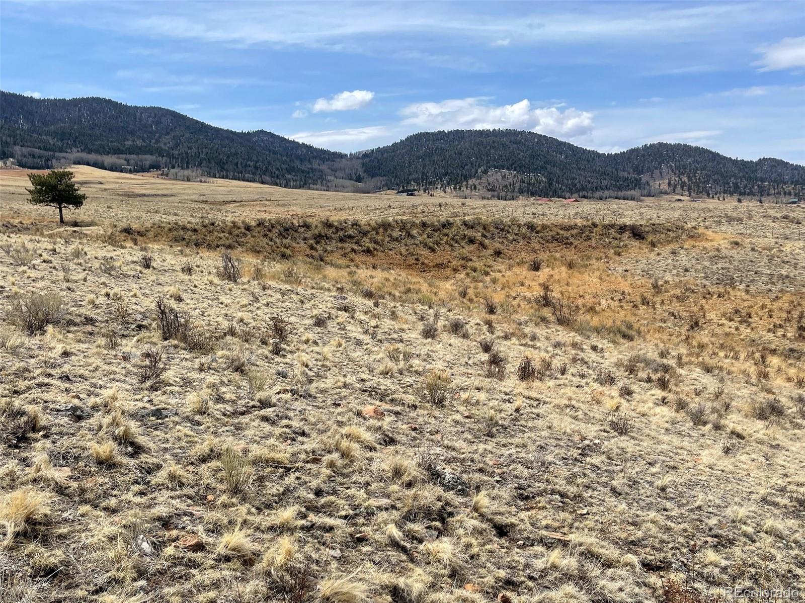 1485 Eagle Valley Road Westcliffe, CO 81252 - Photo 24 of 29