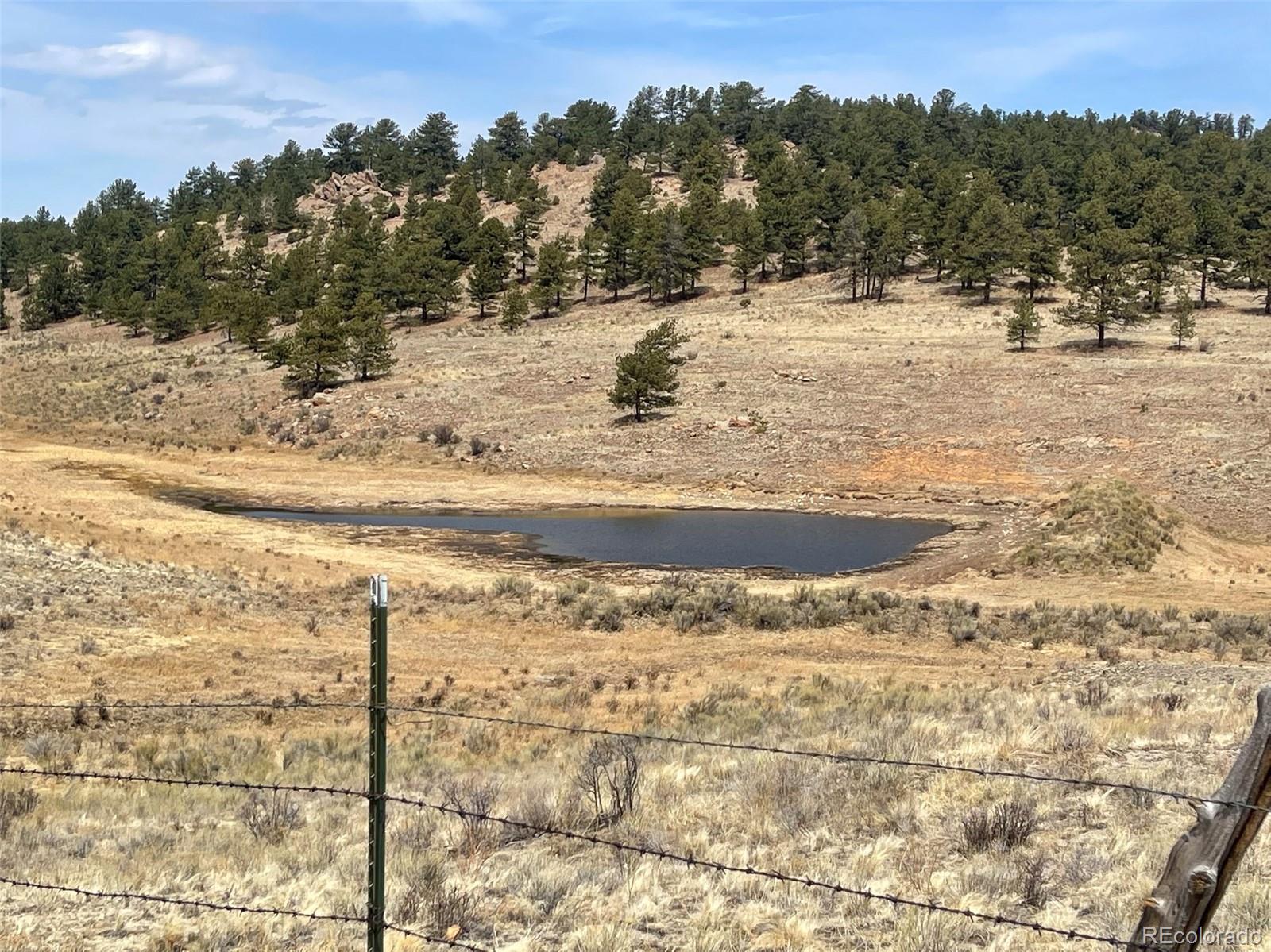 1485 Eagle Valley Road Westcliffe, CO 81252 - Photo 25 of 29