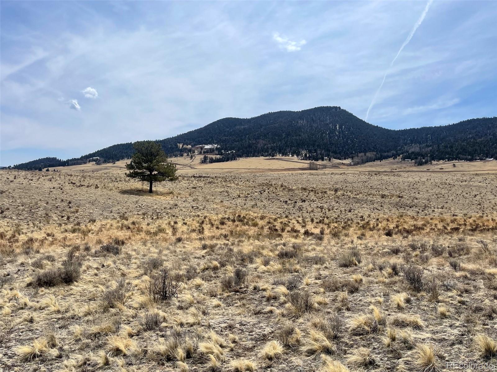 1485 Eagle Valley Road Westcliffe, CO 81252 - Photo 26 of 29