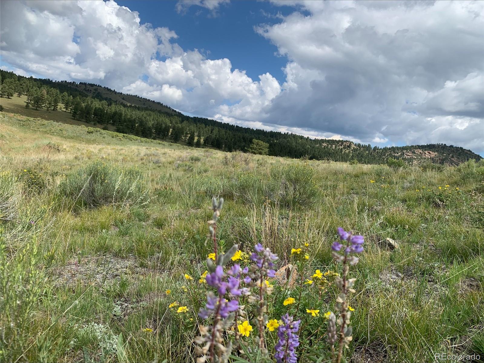 1485 Eagle Valley Road Westcliffe, CO 81252 - Photo 4 of 29