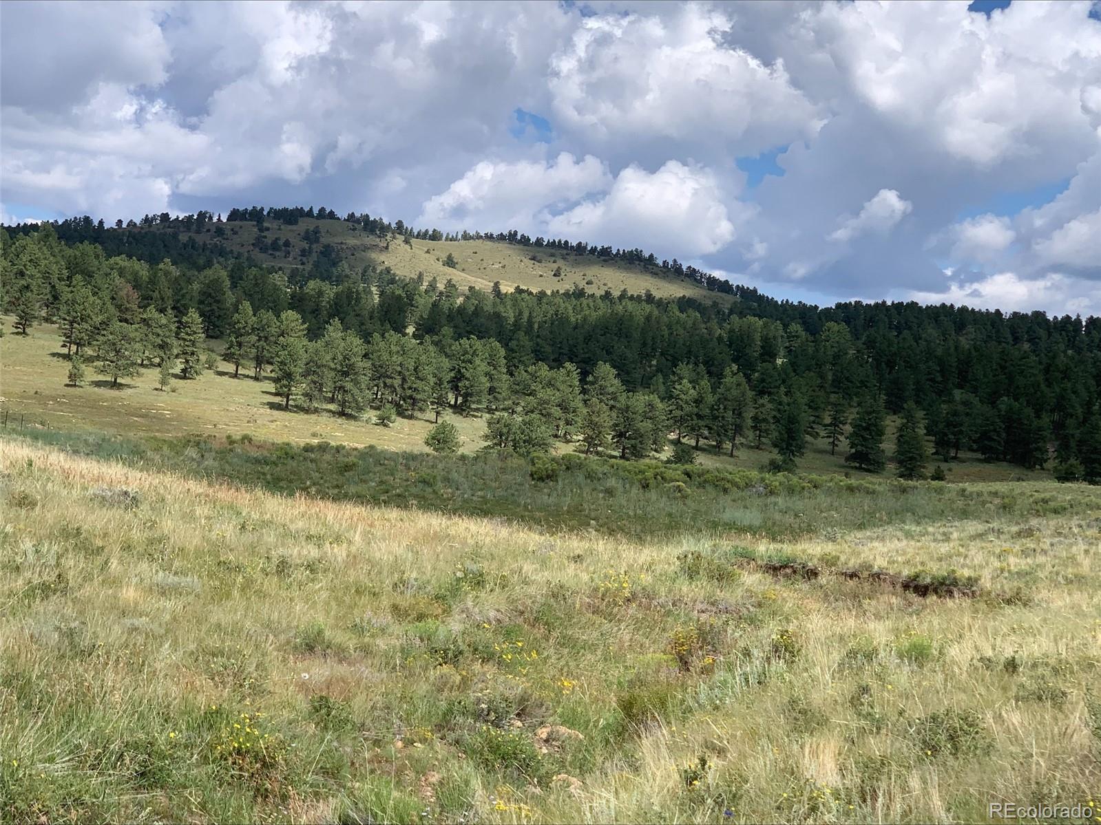 1485 Eagle Valley Road Westcliffe, CO 81252 - Photo 6 of 29