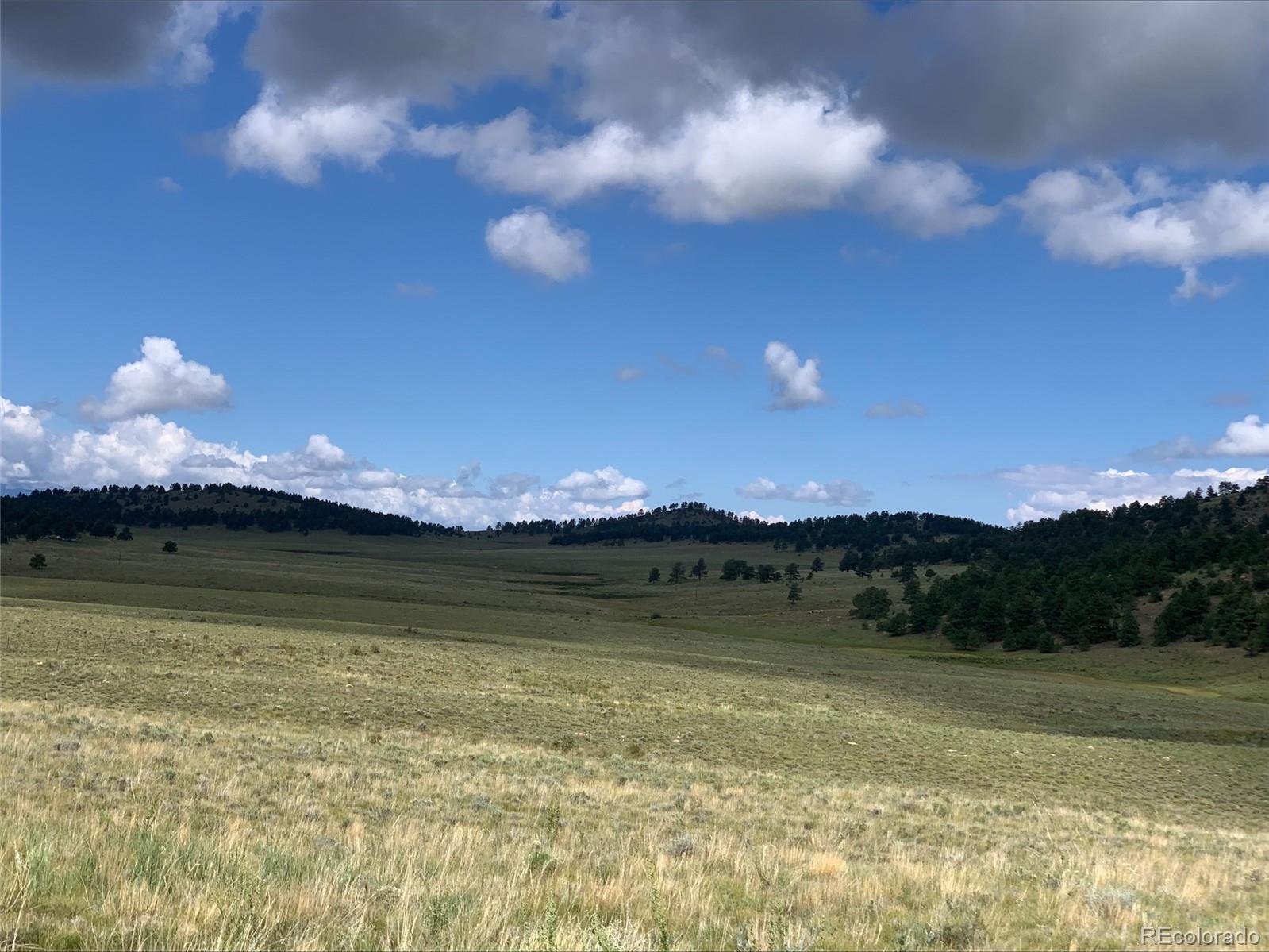 1485 Eagle Valley Road Westcliffe, CO 81252 - Photo 7 of 29