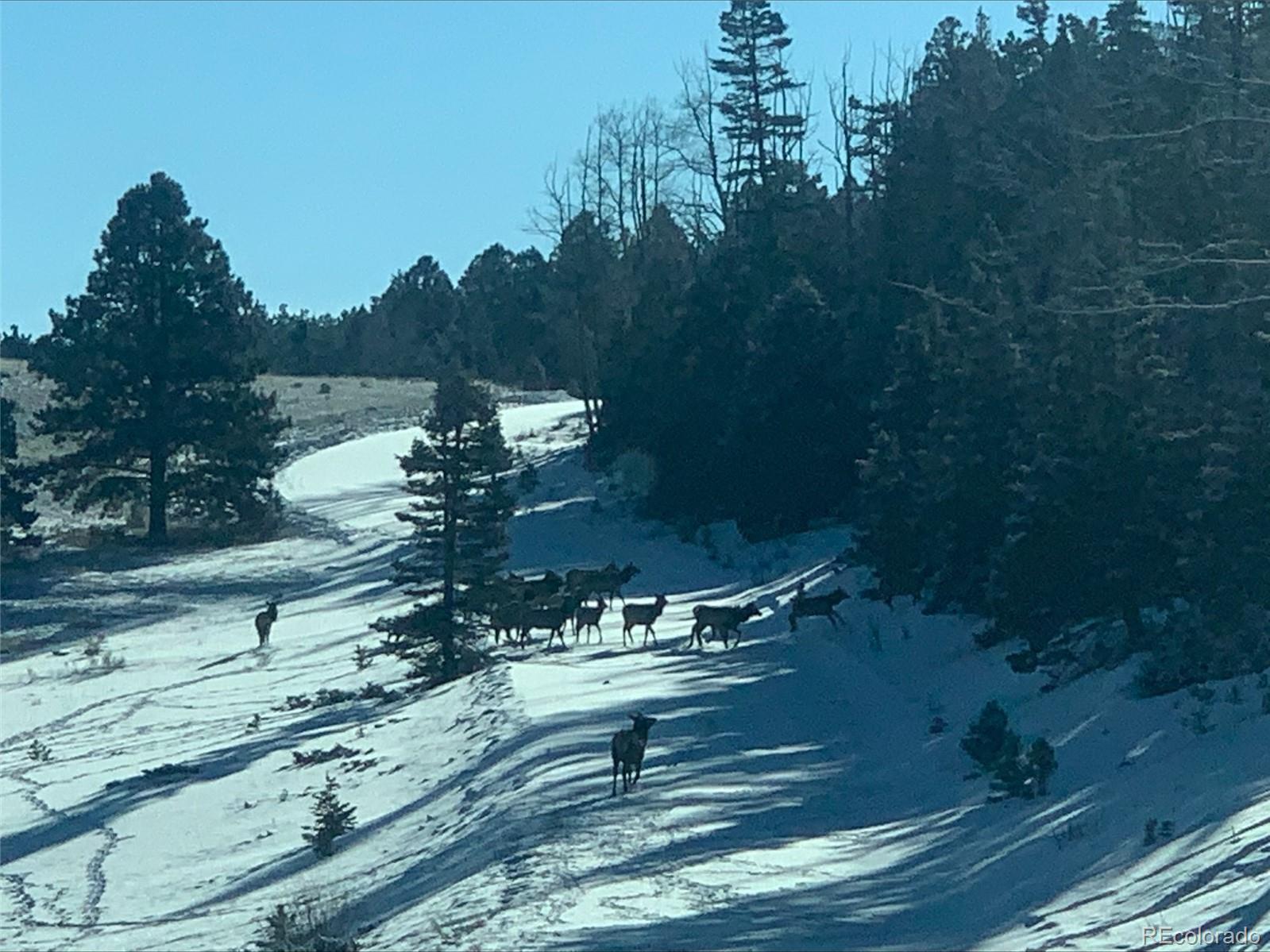 1485 Eagle Valley Road Westcliffe, CO 81252 - Photo 8 of 29