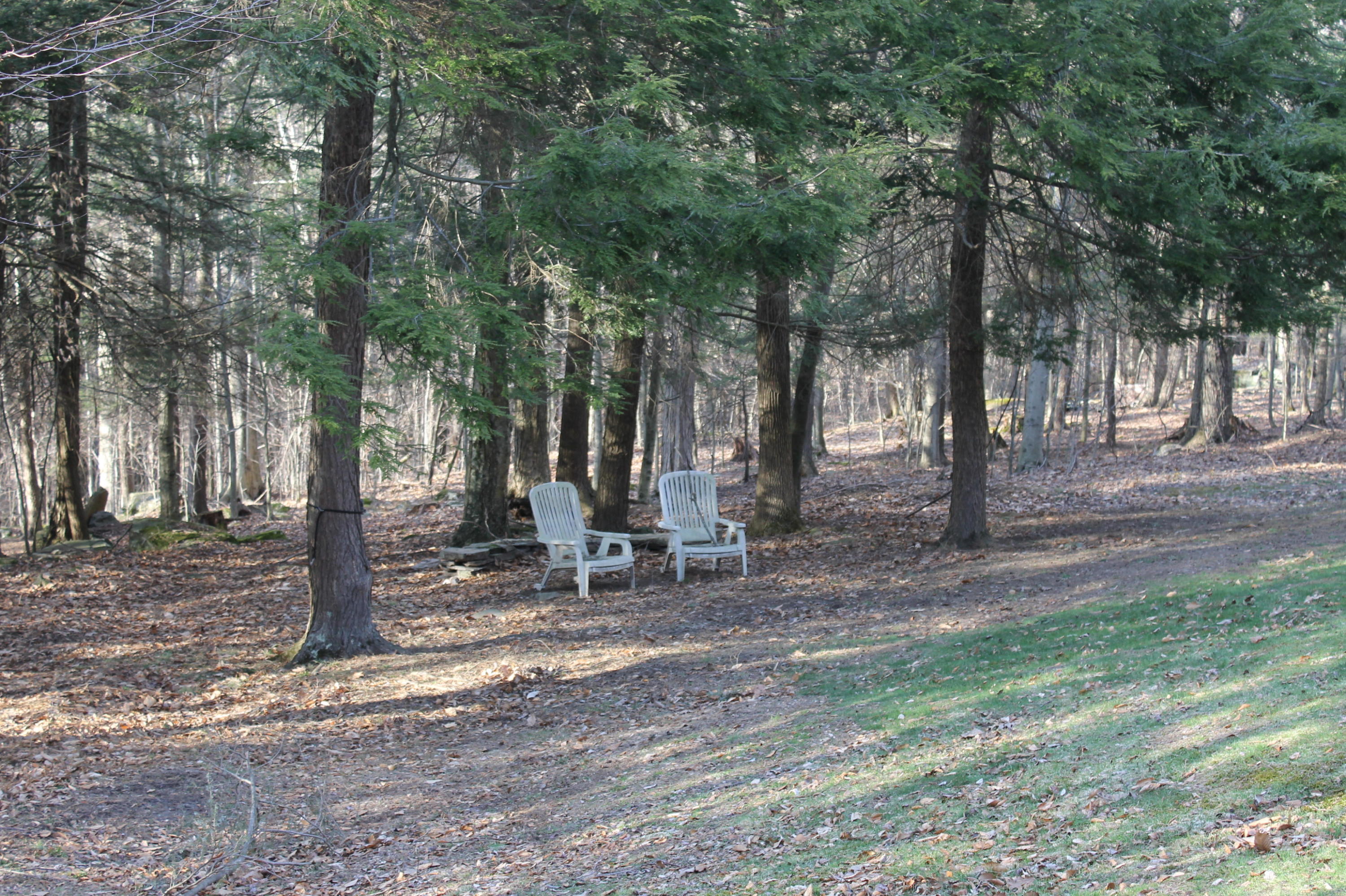 259 Gravity Road Lake Ariel, PA 18436 - Photo 42 of 46 Gallery Image 42
