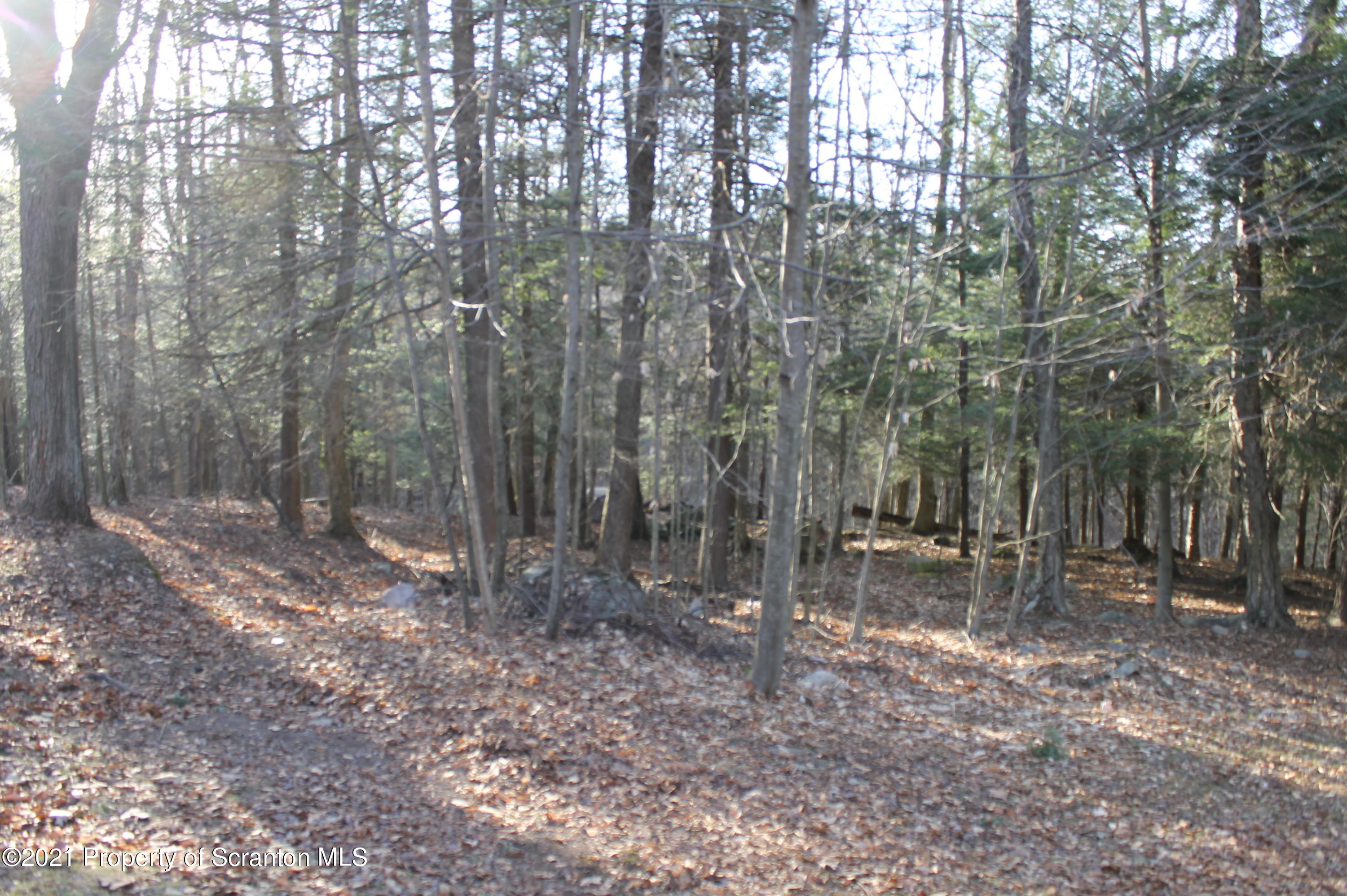 259 Gravity Road Lake Ariel, PA 18436 - Photo 43 of 46 Gallery Image 43