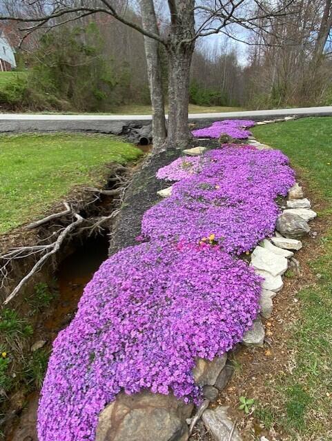 984 Sasser School Road London, KY 40744 - Photo 23 of 42 landscape