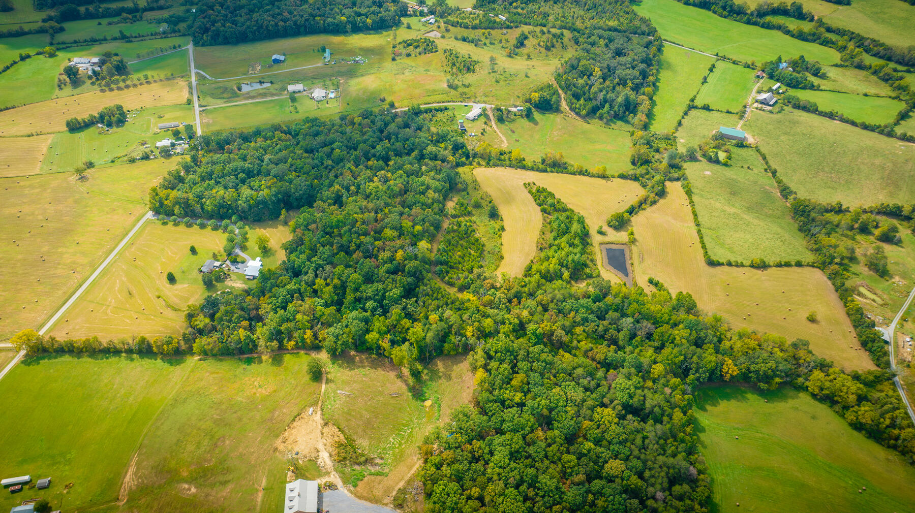 Tbd Kite Road Greeneville, TN 37745 - Photo 8 of 16 Kite Rd