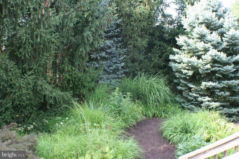 8124 Stone Ridge Drive Frederick, MD 21702 - Photo 20 of 28 a view of a garden with plants
