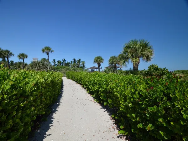 a view of a lake with a building in the background