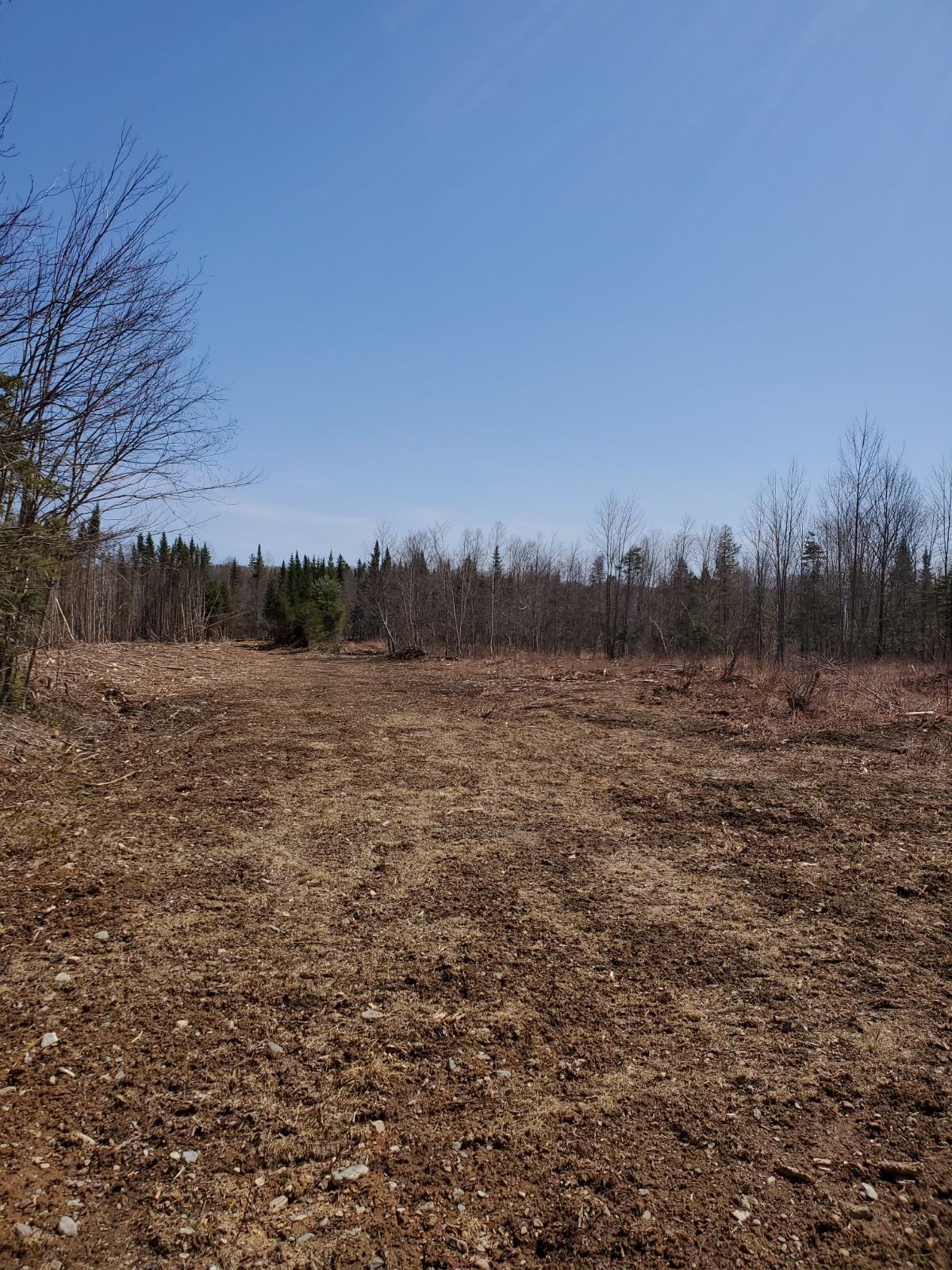 Lot 23 Allsbury Rd Mount Mount Chase, ME 04765 - Photo 2 of 6 20210424_114156