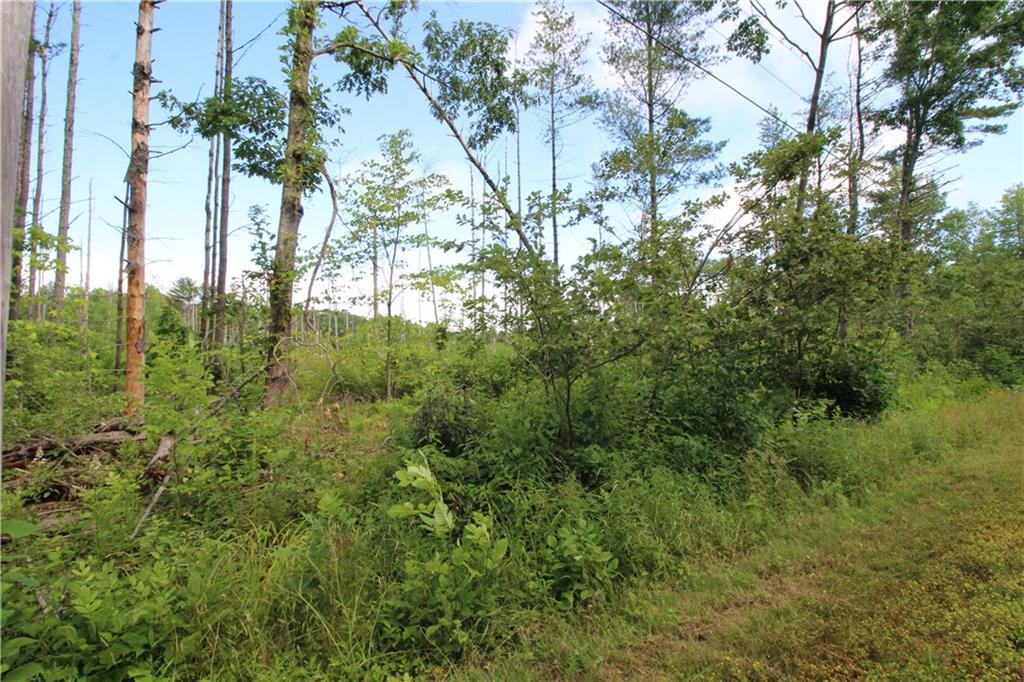Lot A Pond Road Hampden, ME 04444 - Photo 10 of 12 Photo