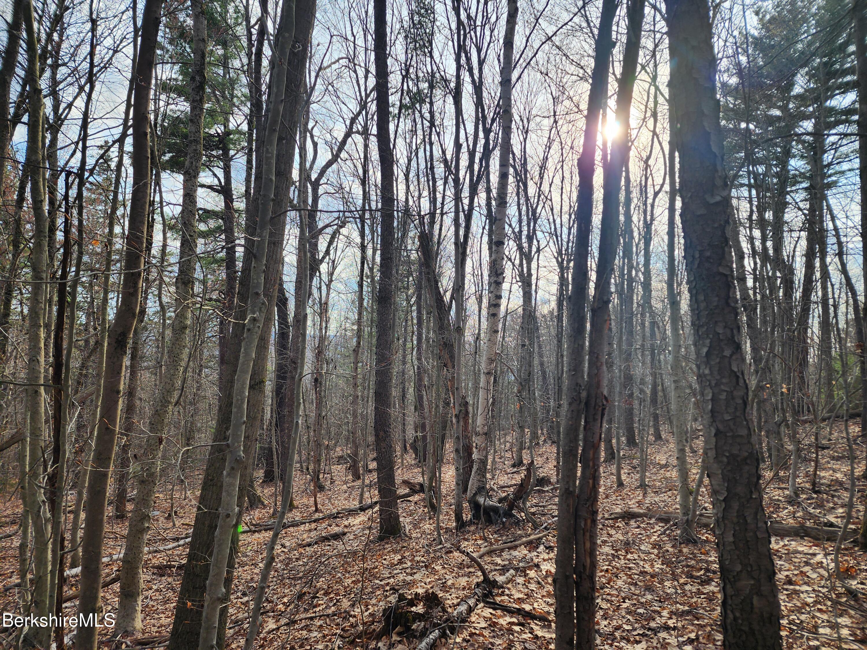 Lindsey Hill Road Worthington, MA 01098 - Photo 2 of 14 Land