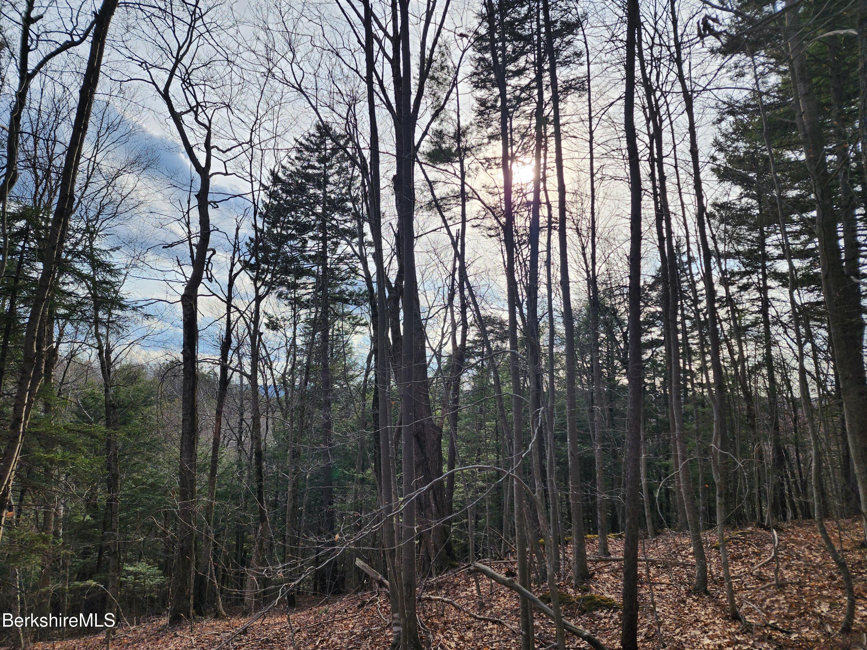 Lindsey Hill Road Worthington, MA 01098 - Photo 3 of 14 Land