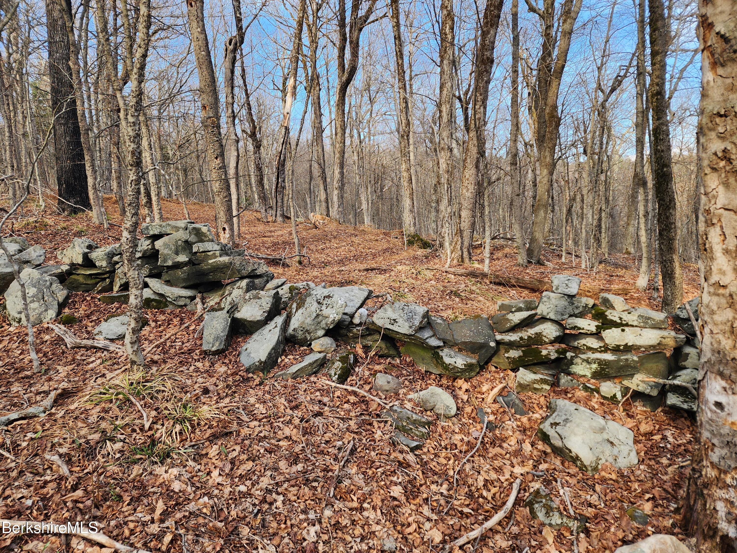 Lindsey Hill Road Worthington, MA 01098 - Photo 4 of 14 Back wall