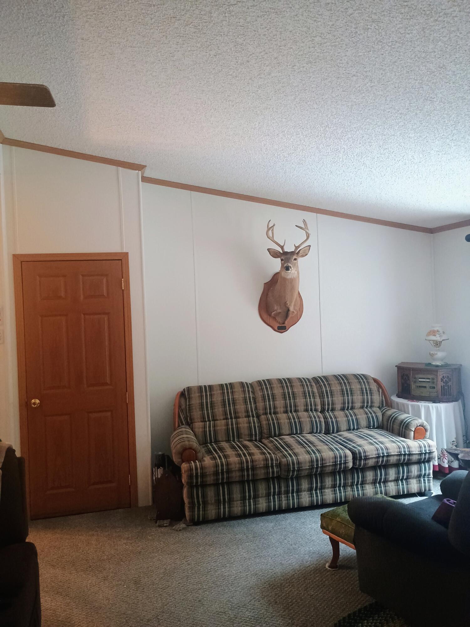 167 Mill Road Blanchard, MI 49310 - Photo 5 of 24 1000013843