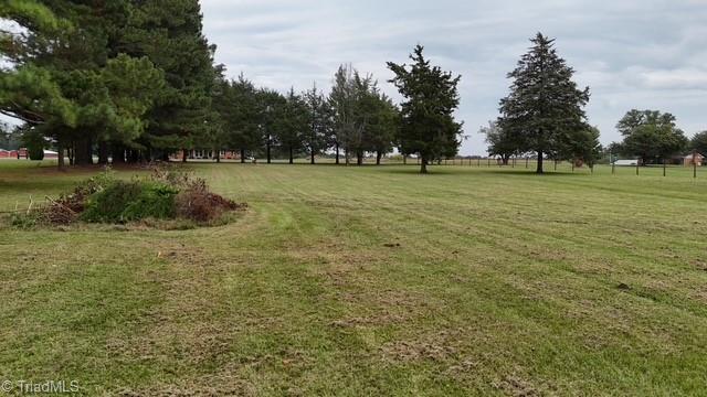 0 Apple Wyrick Road Gibsonville, NC 27249 - Photo 14 of 20