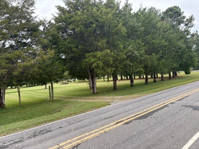 0 Apple Wyrick Road Gibsonville, NC 27249 - Photo 16 of 20