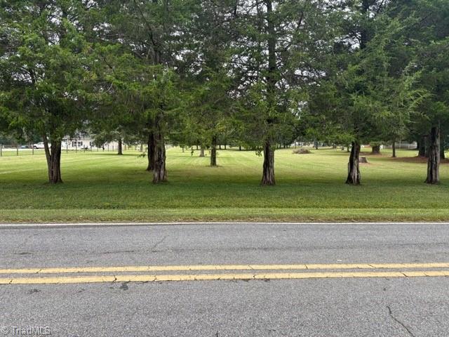 0 Apple Wyrick Road Gibsonville, NC 27249 - Photo 18 of 20