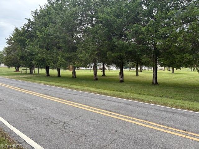 0 Apple Wyrick Road Gibsonville, NC 27249 - Photo 19 of 20