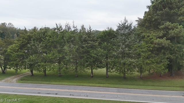 0 Apple Wyrick Road Gibsonville, NC 27249 - Photo 6 of 20